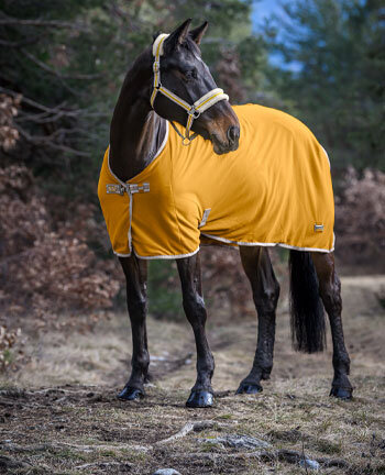 Couverture imperméable cheval 0g X-Range Light - Bucas - BUCAS - Couvertures  imperméables cheval - Equestra