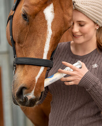 Bonbon à lécher Cerise - Alimentation pour chevaux - Kramer