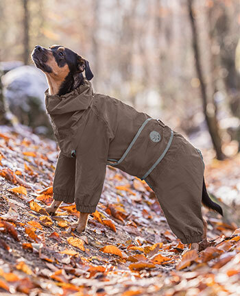 Etechydra Manteau imperméable pour chien, veste d'hiver réversible réglable  et