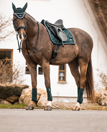 Tenues pour chevaux