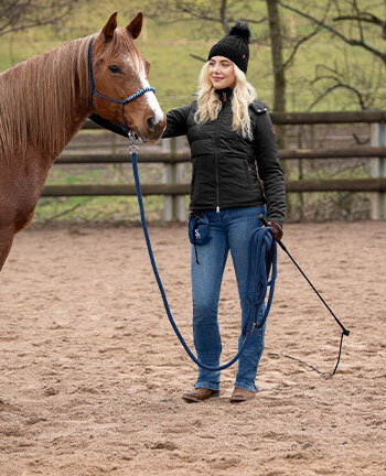 Horsemanship & travail  pied