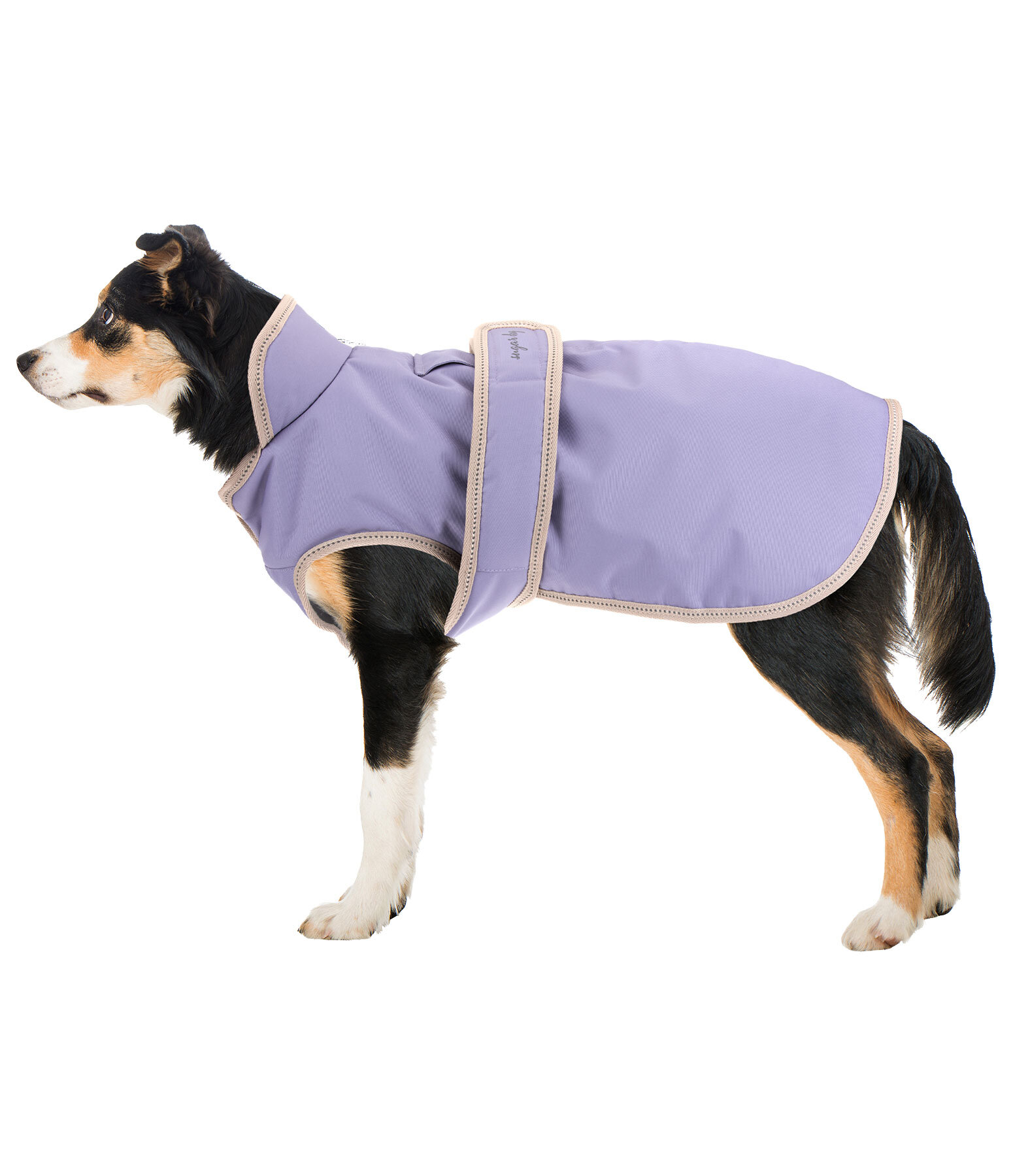 Manteau pour chien avec doublure polaire  Eddie 200 g