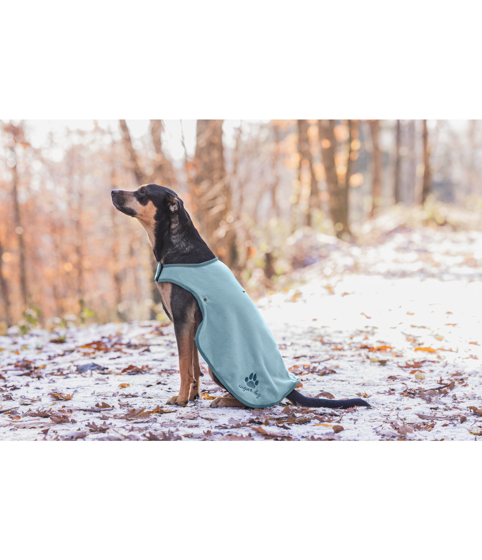 Manteau de pluie pour chien  Eldoro II avec doublure intrieure en polaire, 0g