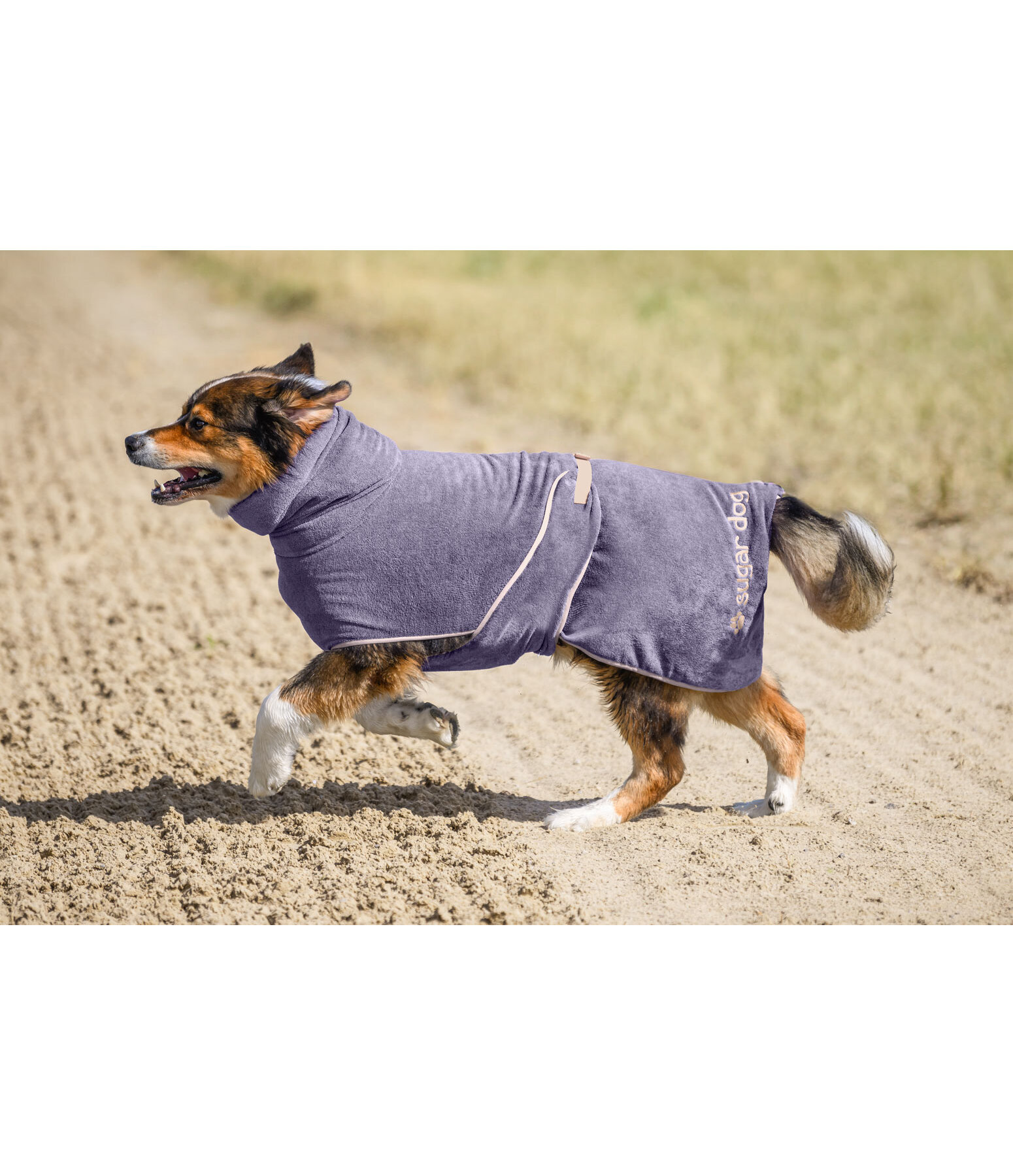 Chemise schante pour chien  Dry Dog II