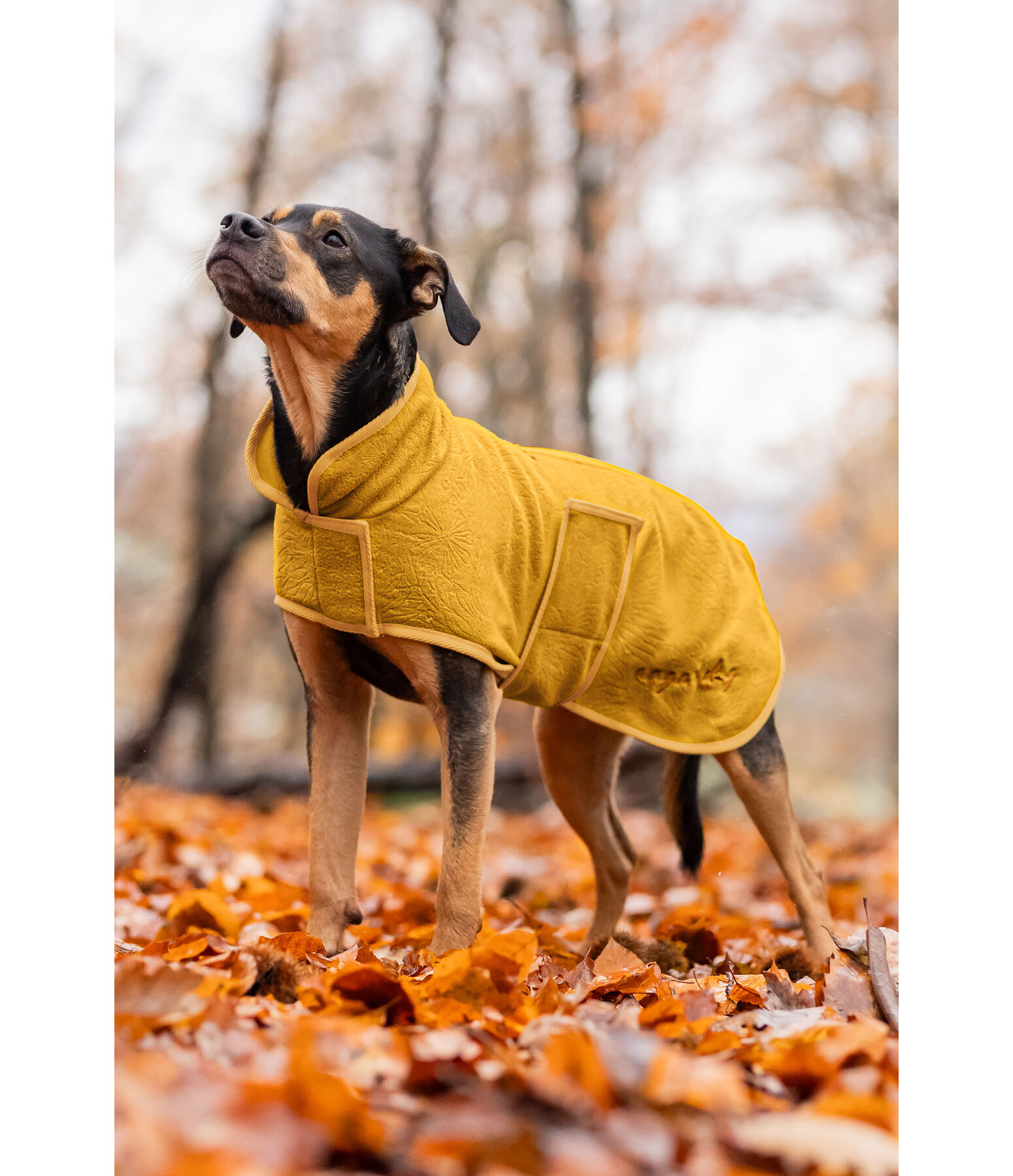 Manteau polaire pour chien  Indian Summer