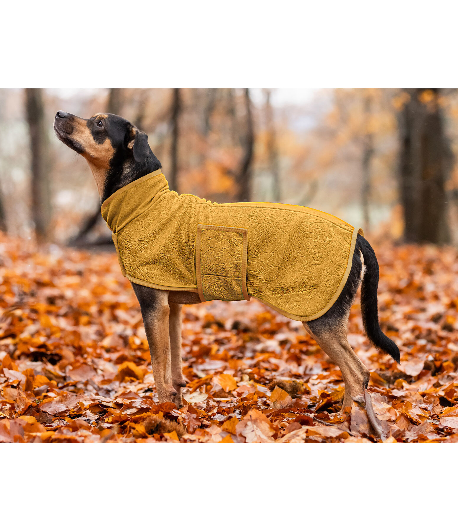 Manteau polaire pour chien  Indian Summer