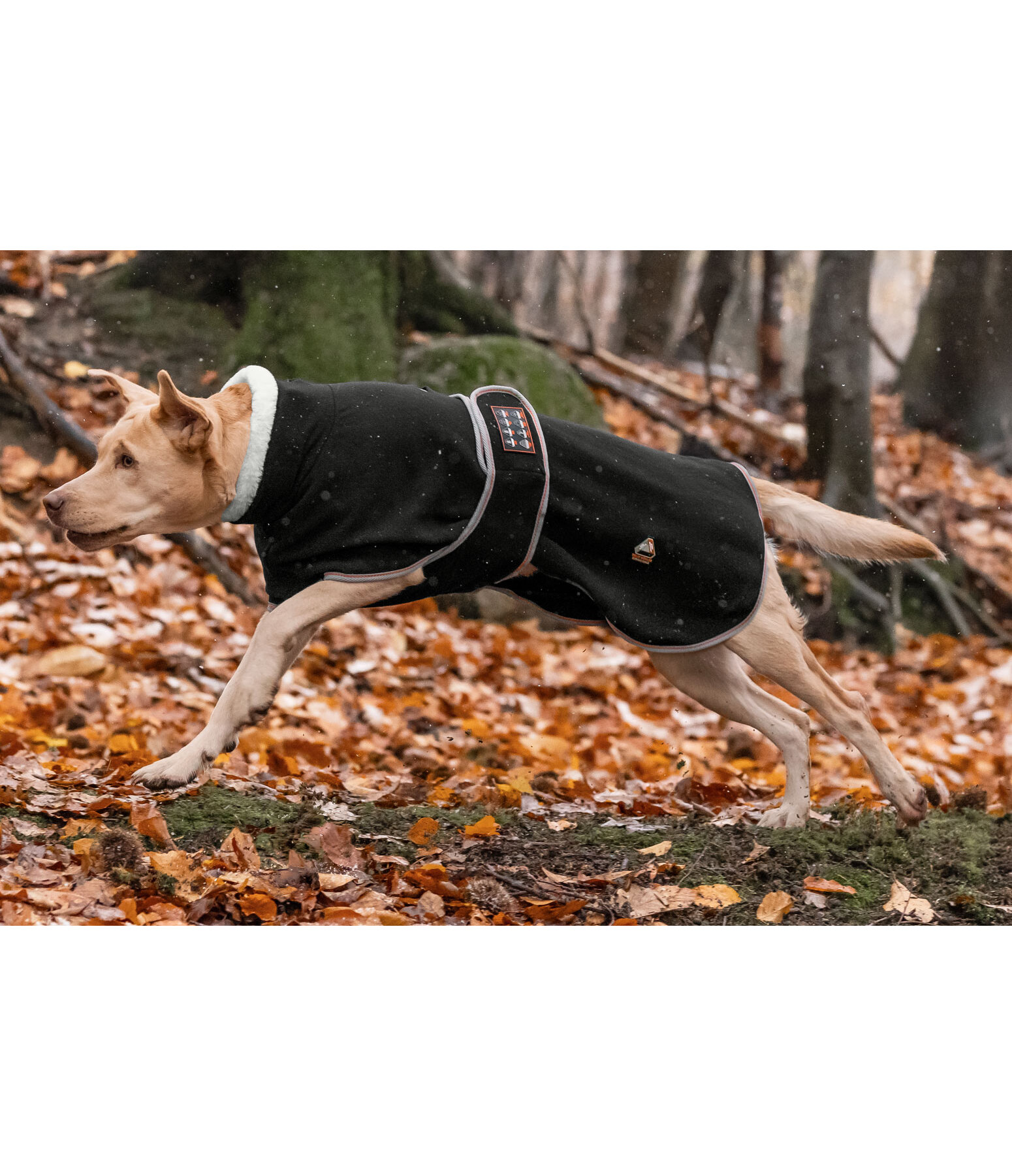 Manteau polaire pour chien  Ceramic Rehab