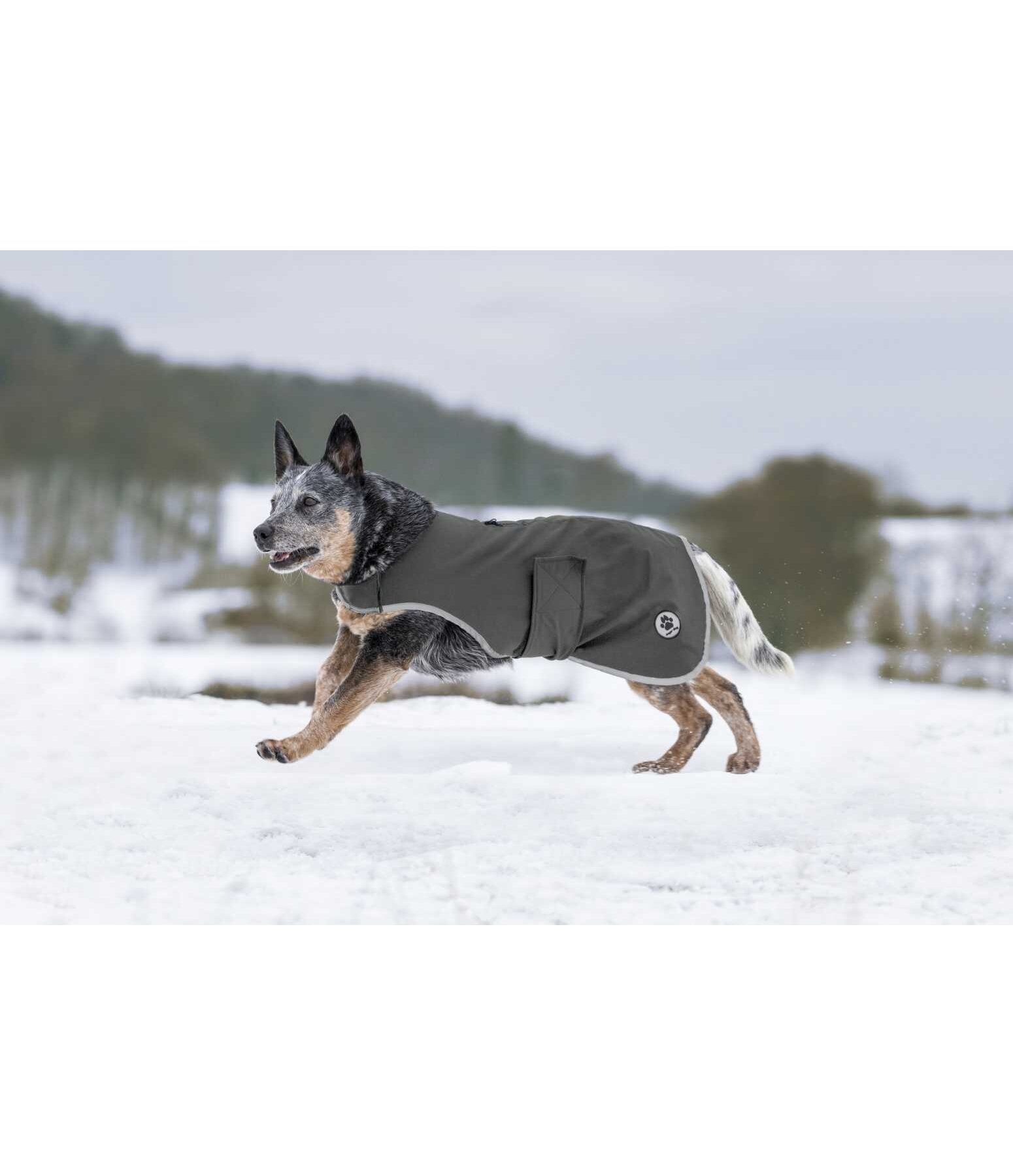 Manteau de randonne en softshell pour chien  Athlete, 0 g