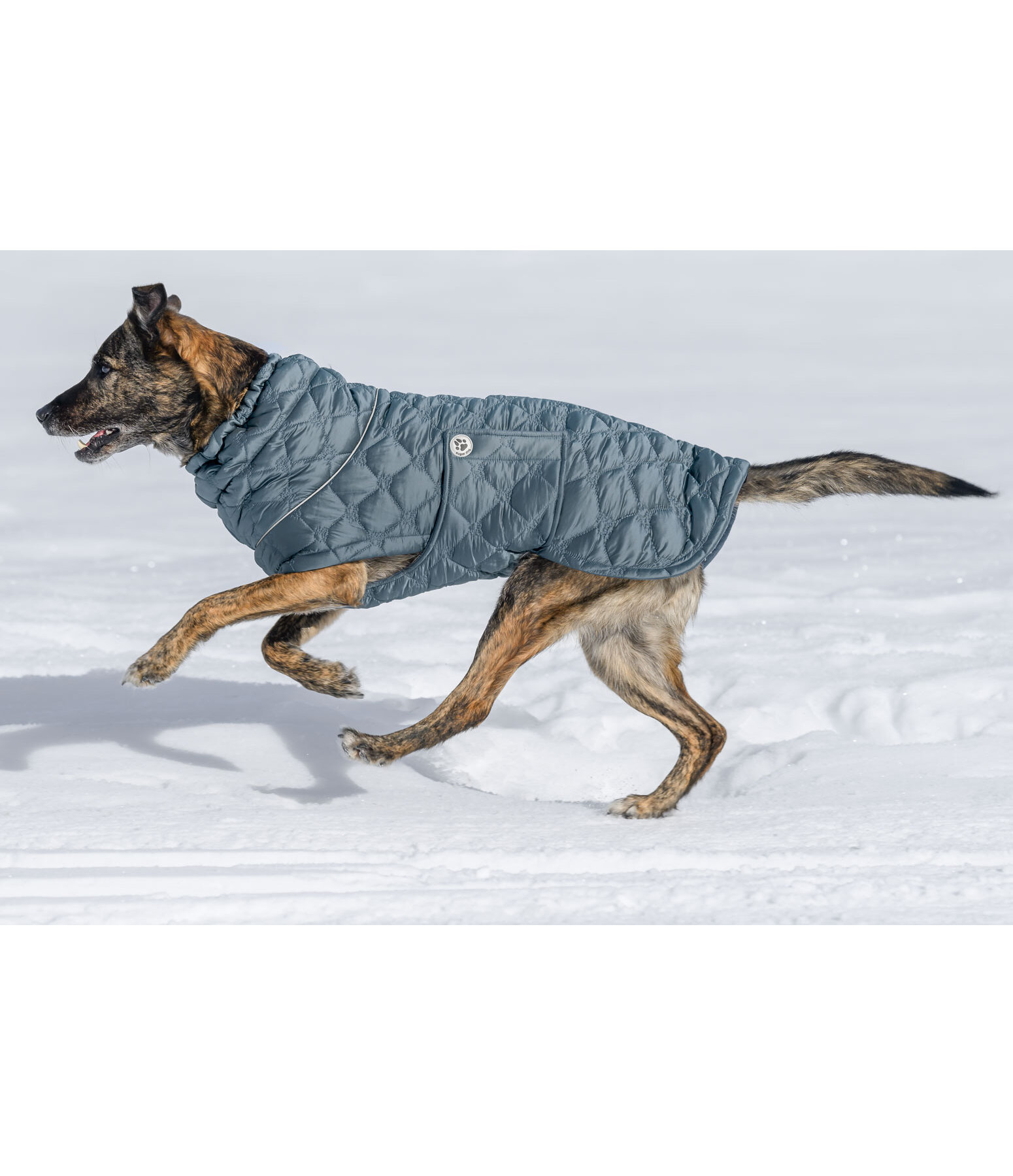 Manteau pour chien matelass avec doublure polaire  Cliff, 200 g