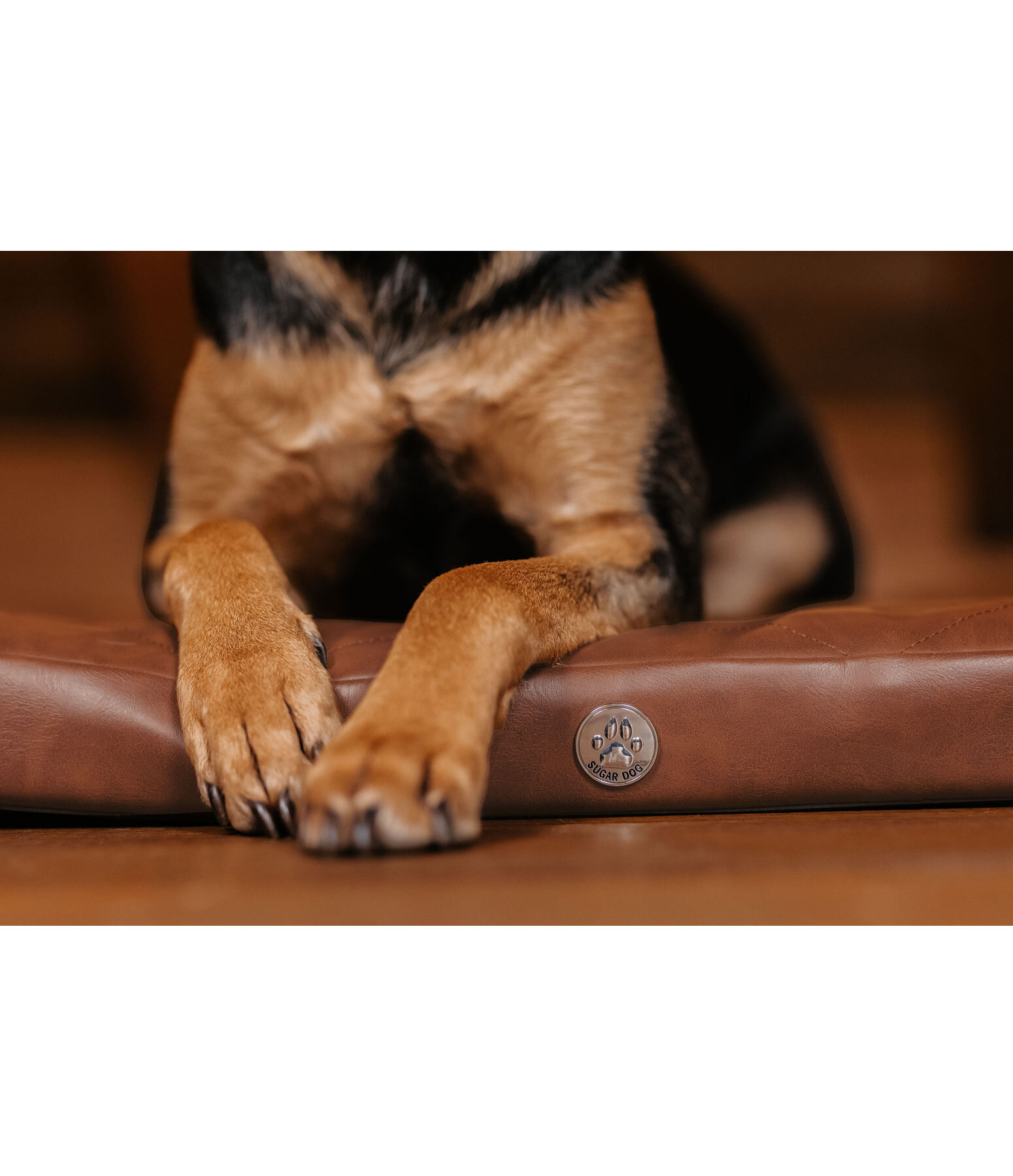Tapis orthopédique chien • Boutique orthopédique (FR)