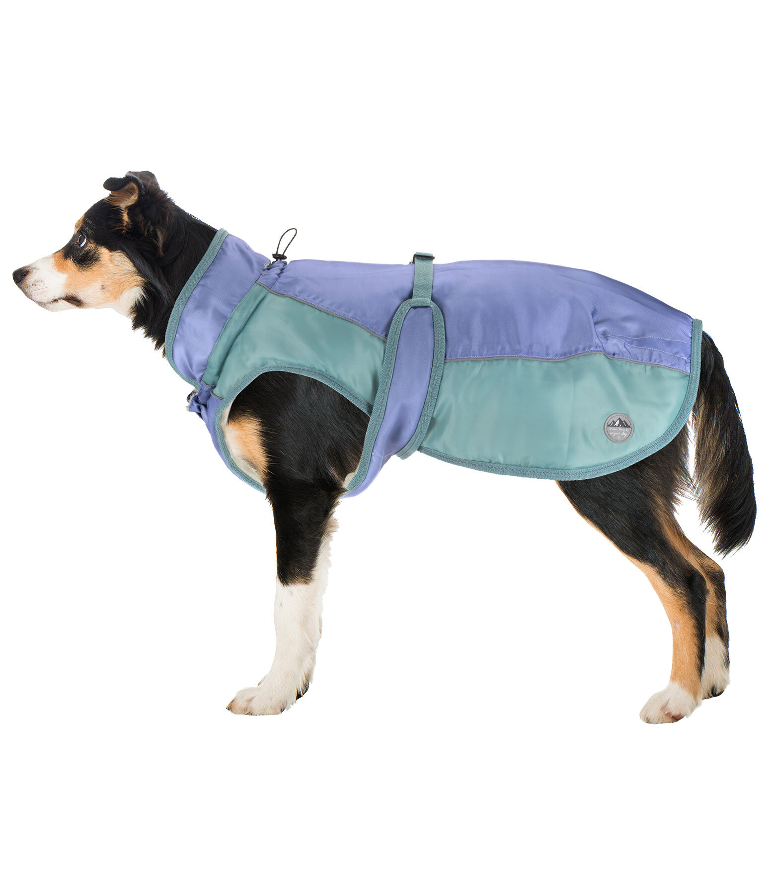 Manteau d'hiver pour chien avec doublure en polaire Teddy, 100 g  Glacier Bay