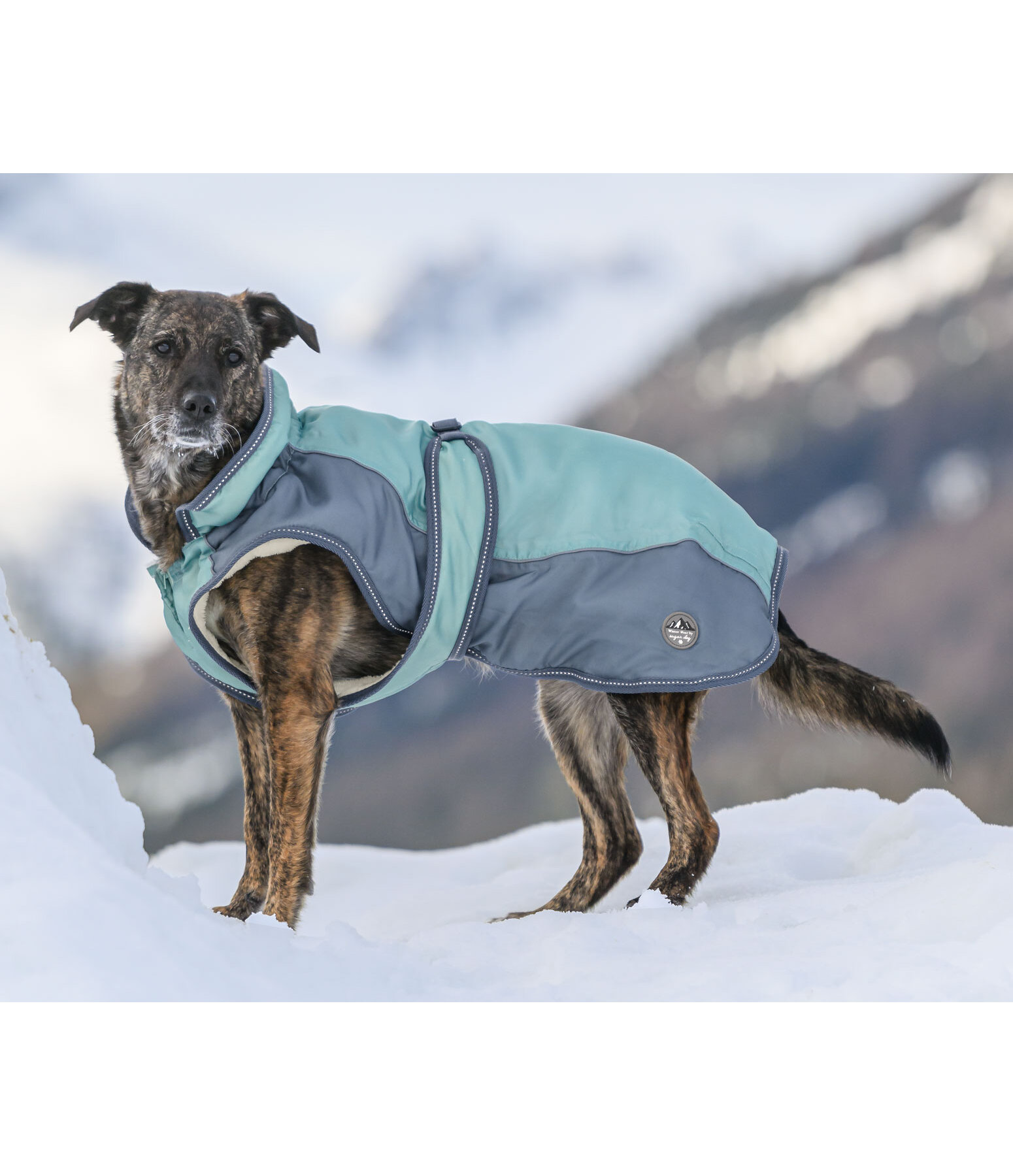 Manteau d'hiver pour chien avec doublure en polaire Teddy, 100 g  Glacier Bay