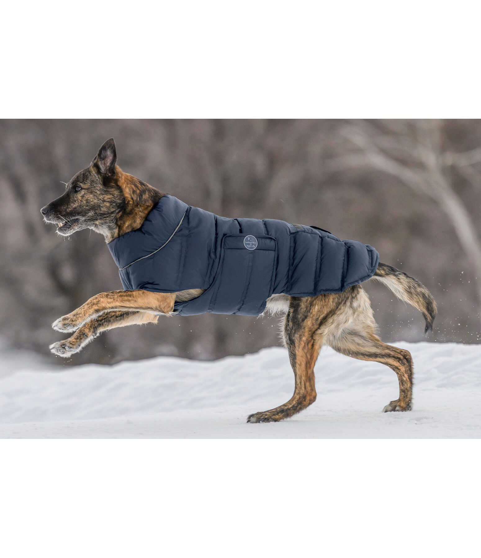 Manteau pour chien matelass avec lampe LED Arlo, 300 g