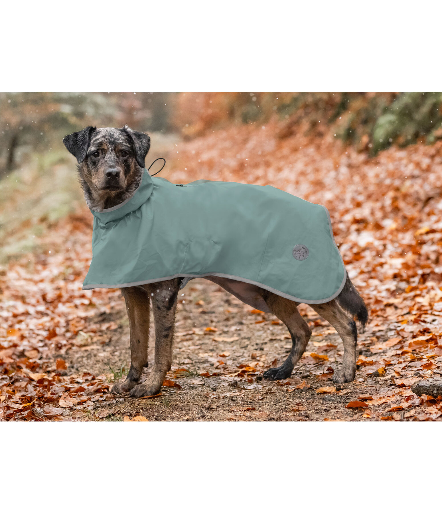 Manteau de pluie pour chien  Thousand Islands, 0 g