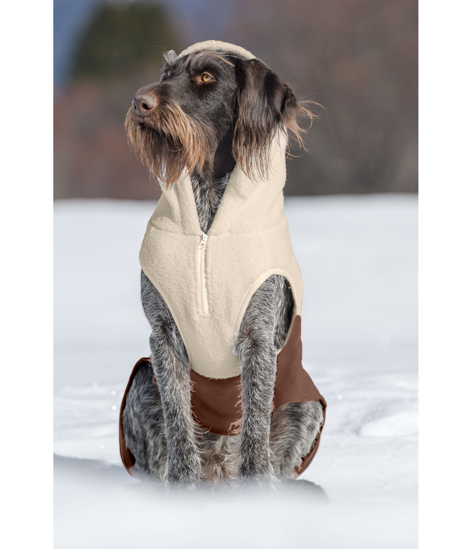 Sweat  capuche Sherpa pour chien  Sawyer