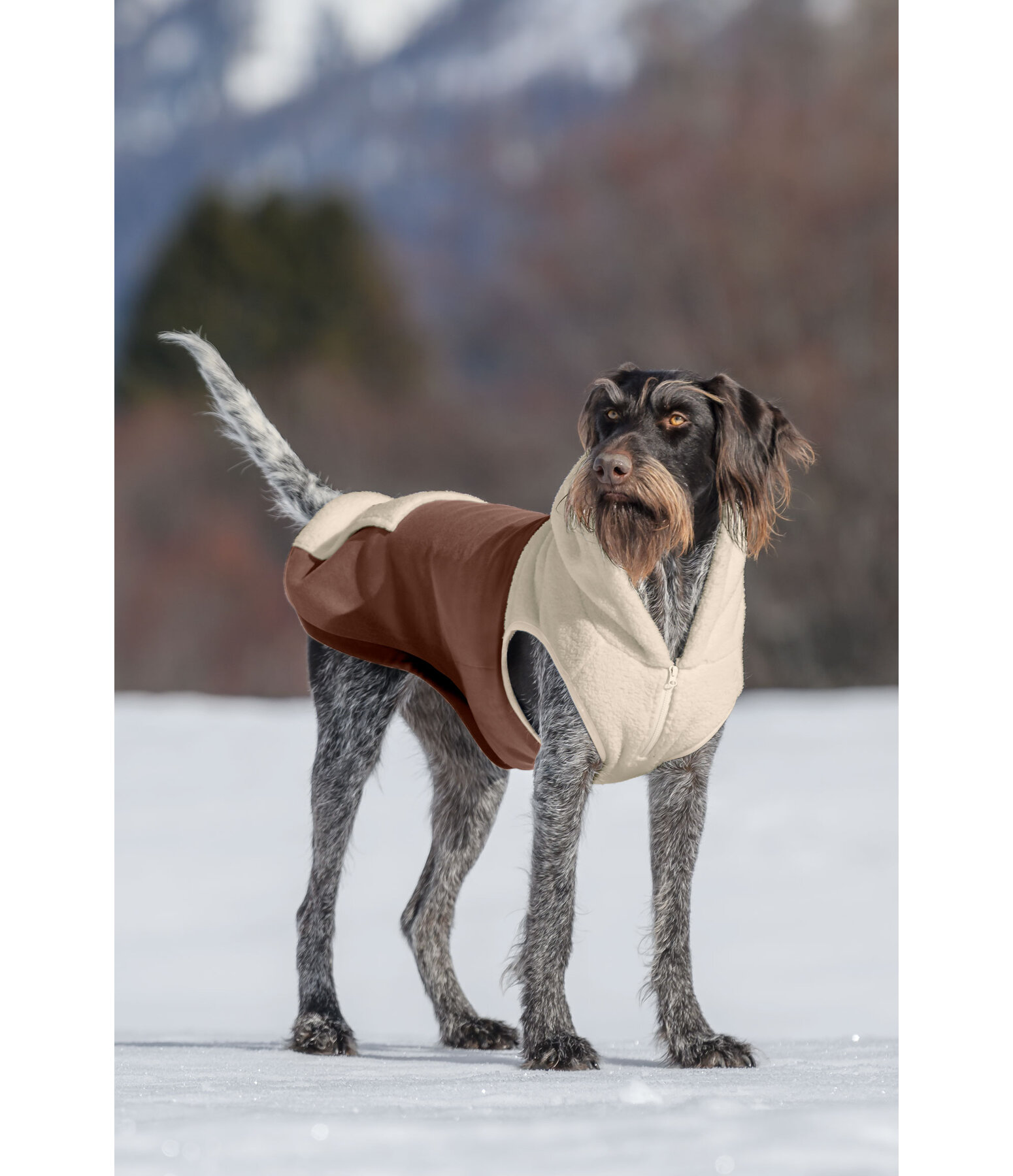 Sweat  capuche Sherpa pour chien  Sawyer