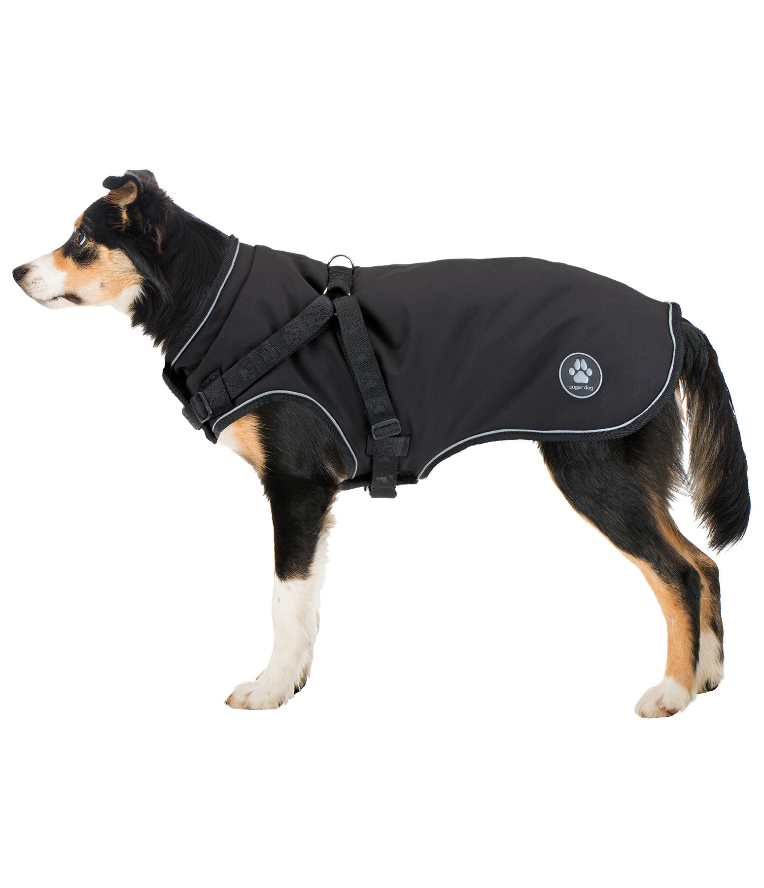 Manteau Softshell pour chien avec harnais intgr  Cruz, 160 g