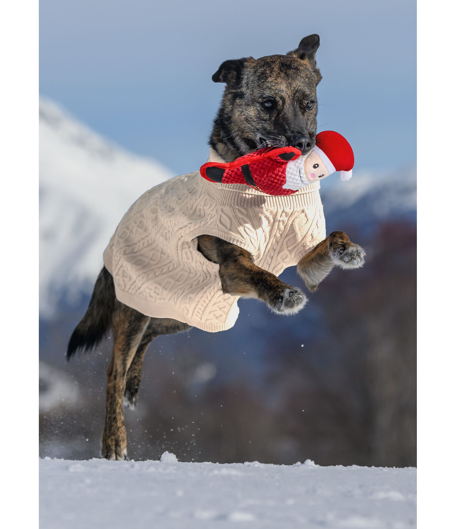 Jouet en peluche pour chien  Santa