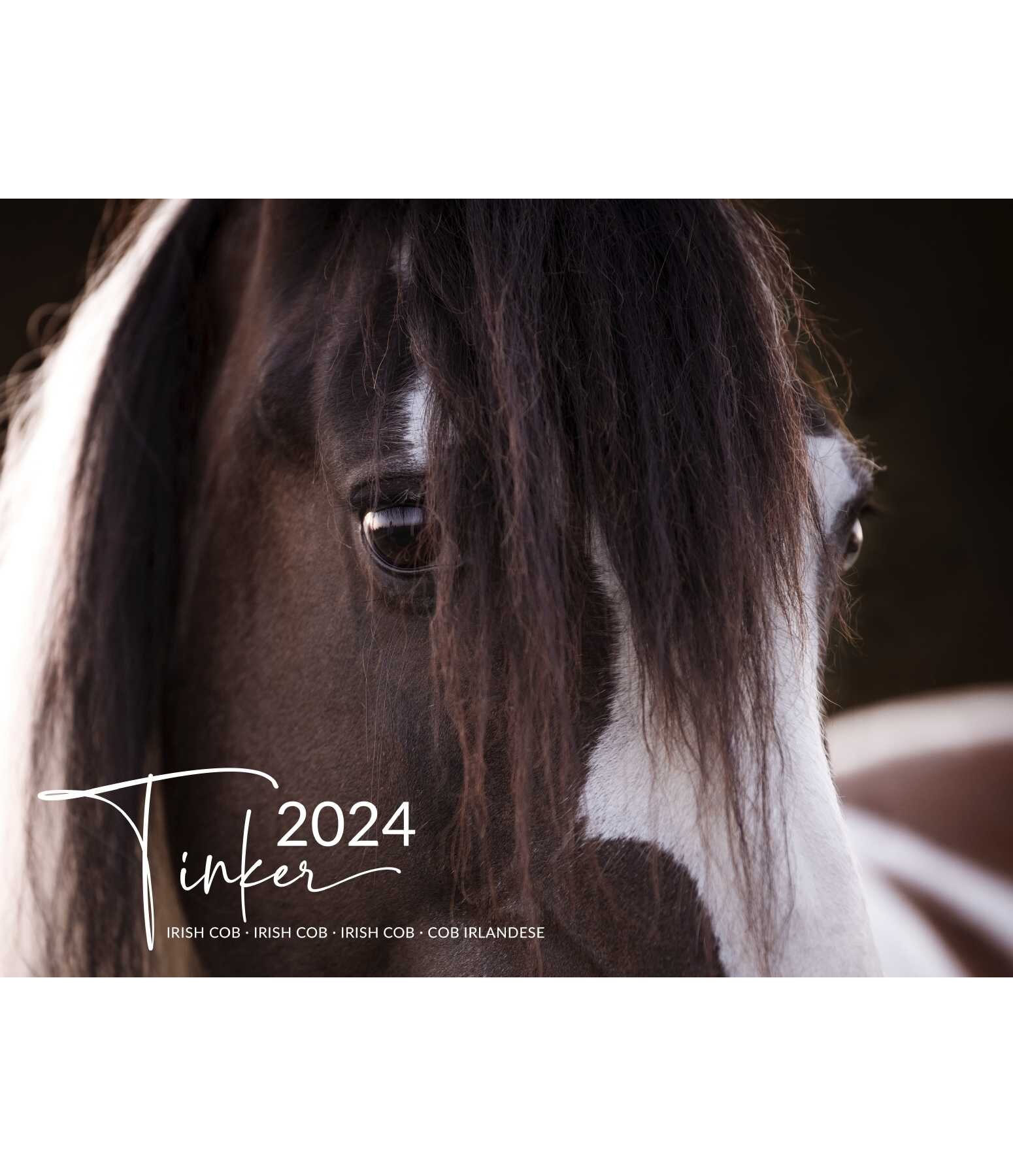 Calendrier Irish Cob 2025