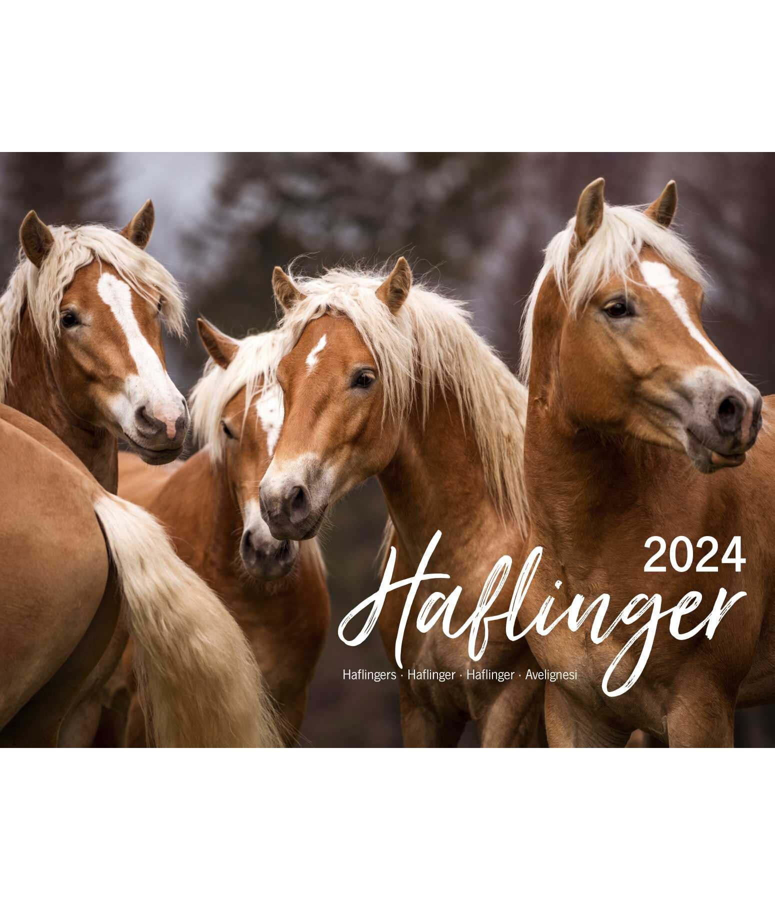 Minis calendrier 2024 - Cadeaux - Kramer Paardensport