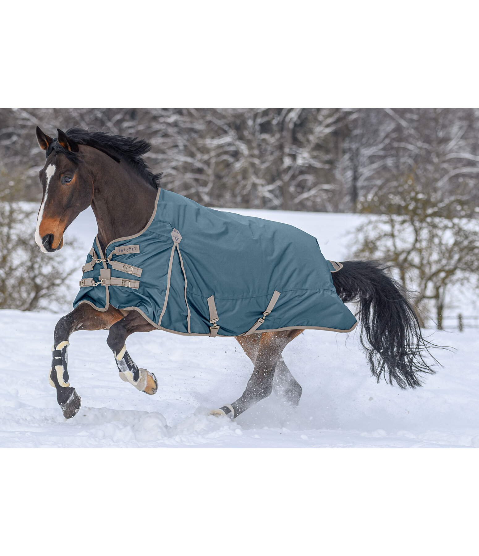 Porte-couvertures - Couvertures pour chevaux - Kramer Equitation