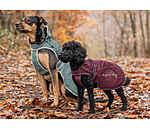 Manteau pour chien 2 en 1  Ally