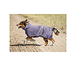 Chemise schante pour chien  Dry Dog II