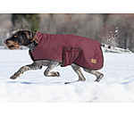 Manteau d'hiver pour chien  Beaver Creek, 400 g