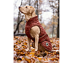 Manteau avec doublure en polaire Teddy pour chien  Archie, 160 g