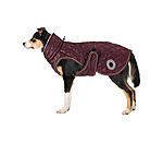 Manteau avec doublure en polaire Teddy pour chien  Archie, 160 g