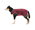 Manteau de randonne en softshell pour chien  Athlete, 0 g