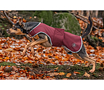 Manteau de randonne en softshell pour chien  Athlete, 0 g