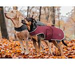 Manteau de randonne en softshell pour chien  Athlete, 0 g