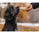 Oreilles de boeuf pour chien . Produit en Autriche.