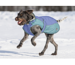 Manteau d'hiver pour chien avec doublure en polaire Teddy, 100 g  Glacier Bay