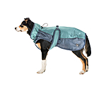 Manteau d'hiver pour chien avec doublure en polaire Teddy, 100 g  Glacier Bay