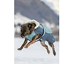 Manteau d'hiver pour chien avec doublure en polaire Teddy, 100 g  Glacier Bay