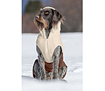 Sweat  capuche Sherpa pour chien  Sawyer