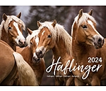 Calendrier Haflinger 2025