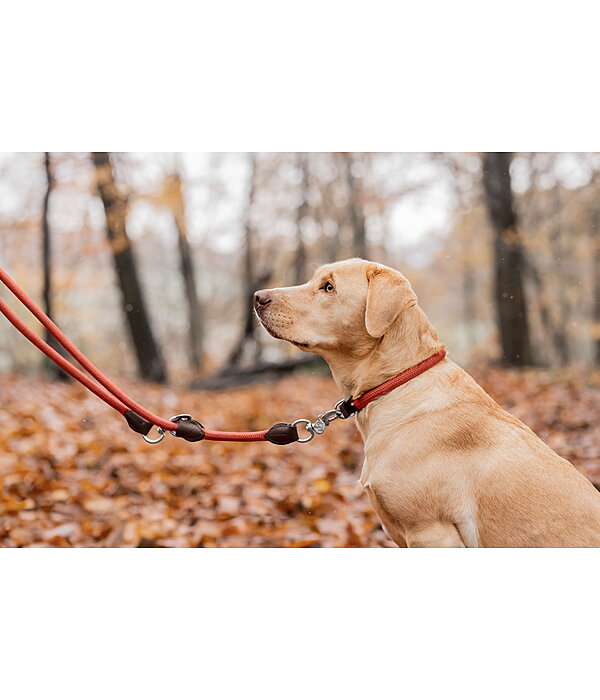 Collier pour chien  Nature Rope