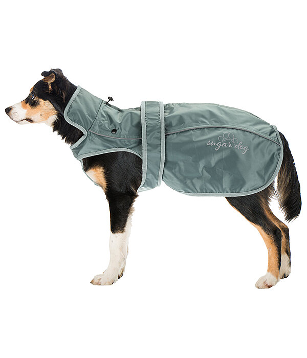 Manteau pour chien 2 en 1  Ally