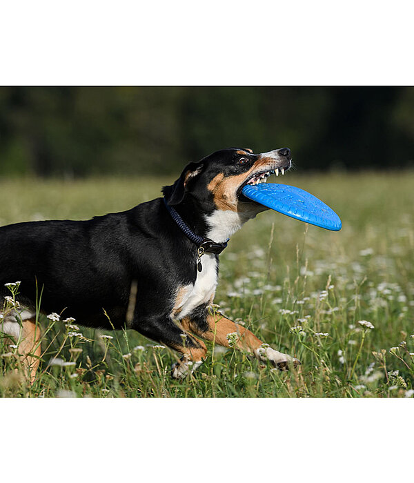 Frisbee pour chien Runaway - Chien - Kramer Equitation