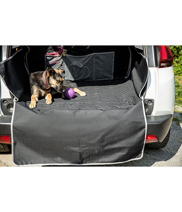 Tapis de coffre de voiture Protection de coffre pour chiens, coffre de  voiture