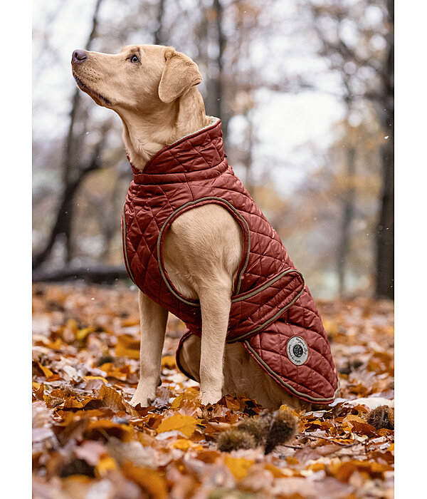 Manteau avec doublure en polaire Teddy pour chien  Archie, 160 g