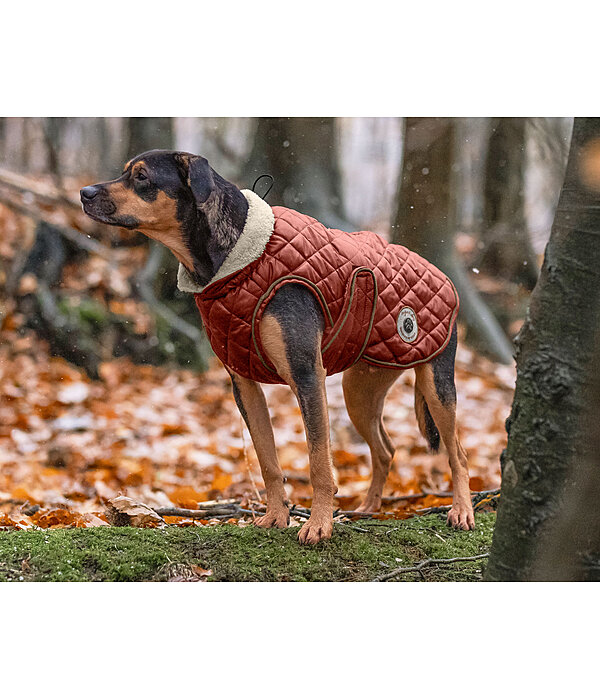 Manteau avec doublure en polaire Teddy pour chien  Archie, 160 g