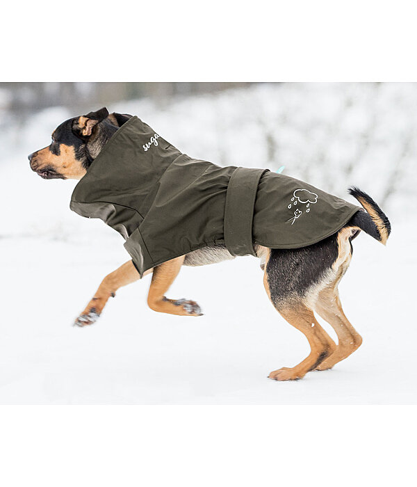 manteau de pluie chien