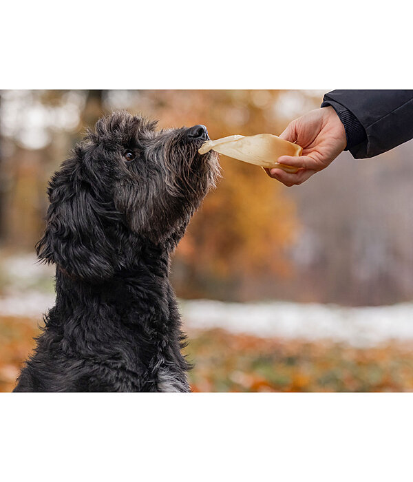 Oreilles de boeuf pour chien . Produit en Autriche.