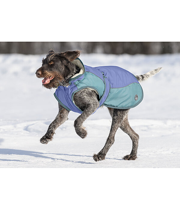 Manteau d'hiver pour chien avec doublure en polaire Teddy, 100 g  Glacier Bay