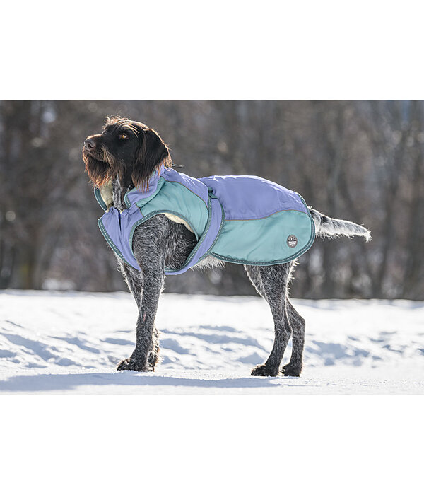 Manteau d'hiver pour chien avec doublure en polaire Teddy, 100 g  Glacier Bay