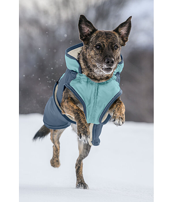 Manteau d'hiver pour chien avec doublure en polaire Teddy, 100 g  Glacier Bay